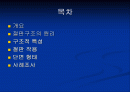 SD 3 조 절판 구조 2페이지