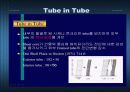 건축구조-튜브구조 21페이지