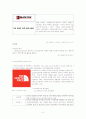 노스페이스의 국내 진출전략 5페이지