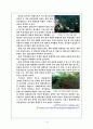 지리과 교수학습지도안 (세) 19페이지