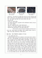 지리과 교수학습지도안 (세) 21페이지