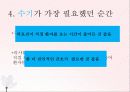 최종간호정보학PPT 17페이지