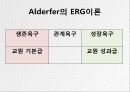 성과급제도가 교원의 동기에 미치는 영향 연구성과급 제도가 교원의 동기에 미치는 영향 연구 21페이지