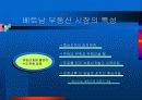 베트남 부동산 시장의 특성 4페이지