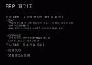 ERP 파워포인트  12페이지