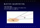 원반던지기 (운동역학,생체역학) 7페이지