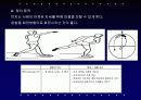 원반던지기 (운동역학,생체역학) 15페이지