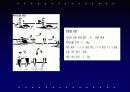 원반던지기 (운동역학,생체역학) 31페이지