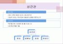 조선시대의 교육 6페이지