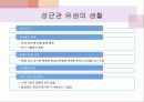 조선시대의 교육 8페이지
