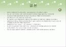 환경실험(조도) 28페이지