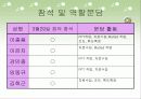 환경실험(조도) 30페이지