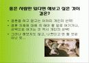 현대사회의 결혼의 개념, 결혼의 의미, 결혼에 대한 인식변화 양상, 결혼에 대한 사회적인식 17페이지