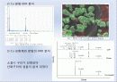 금속 분말야금 (분말의 압축성형 및 성형체의 소결) 9페이지