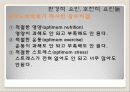 생물의세계ppt 10페이지