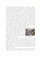 제국건설의 로마를 보고 독후감 2페이지