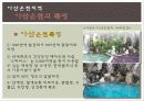 온천지_문제점_및_해결방안ppt 11페이지