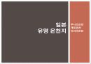 온천지_문제점_및_해결방안ppt 16페이지