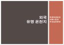 온천지_문제점_및_해결방안ppt 20페이지