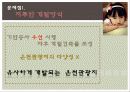 온천지_문제점_및_해결방안ppt 29페이지
