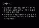 칸타타, 맥심 TOP 광고 분석 3페이지