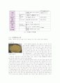 면두부 제조 실험 (綿豆腐 製造實驗) 13페이지