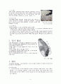 밀을 주원료로 한 제과제품, 가공식품 (加工食品) 8페이지