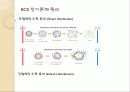 밸러스트수 처리기술 및 동향 앞으로 나아갈 방향 11페이지