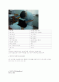 피부관리의 개념 및 특징과 진단기기와 적용기기에 대한 조사분석 6페이지