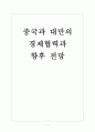 [대만]중국과 대만의 경제협력과 향후 전망 보고서 1페이지
