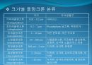 3[1].+플랑크톤+(1) (해양생물학 (lecture 3)) 3페이지
