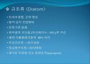 3[1].+플랑크톤+(1) (해양생물학 (lecture 3)) 8페이지