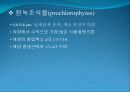 3[1].+플랑크톤+(1) (해양생물학 (lecture 3)) 13페이지