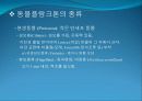 3[1].+플랑크톤+(1) (해양생물학 (lecture 3)) 19페이지