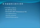 3[1].+플랑크톤+(1) (해양생물학 (lecture 3)) 21페이지