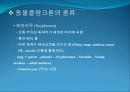 3[1].+플랑크톤+(1) (해양생물학 (lecture 3)) 22페이지
