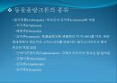 3[1].+플랑크톤+(1) (해양생물학 (lecture 3)) 28페이지