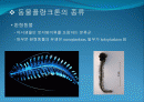 4[1].+플랑크톤+(2) (해양생물학 (lecture 4) 제 2 장 플랑크톤 동물플랑크톤(2)) 2페이지