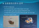 4[1].+플랑크톤+(2) (해양생물학 (lecture 4) 제 2 장 플랑크톤 동물플랑크톤(2)) 7페이지