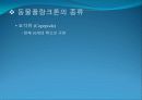 4[1].+플랑크톤+(2) (해양생물학 (lecture 4) 제 2 장 플랑크톤 동물플랑크톤(2)) 11페이지