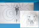 4[1].+플랑크톤+(2) (해양생물학 (lecture 4) 제 2 장 플랑크톤 동물플랑크톤(2)) 16페이지