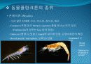 4[1].+플랑크톤+(2) (해양생물학 (lecture 4) 제 2 장 플랑크톤 동물플랑크톤(2)) 18페이지