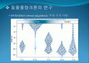 4[1].+플랑크톤+(2) (해양생물학 (lecture 4) 제 2 장 플랑크톤 동물플랑크톤(2)) 33페이지