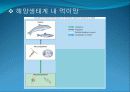 4[1].+플랑크톤+(2) (해양생물학 (lecture 4) 제 2 장 플랑크톤 동물플랑크톤(2)) 36페이지