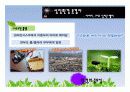 스티브잡스의 생애와 애플의 성공요인 5페이지