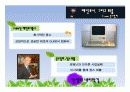 스티브잡스의 생애와 애플의 성공요인 10페이지