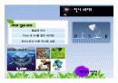 스티브잡스의 생애와 애플의 성공요인 12페이지