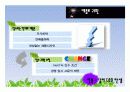 스티브잡스의 생애와 애플의 성공요인 13페이지