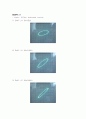 결과 실험7 EXPERIMENT ac 7  The Oscilloscope and Phase Measurements 3페이지