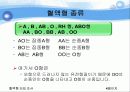 혈액형[blood groups 血液型]Blood Type Research  4페이지